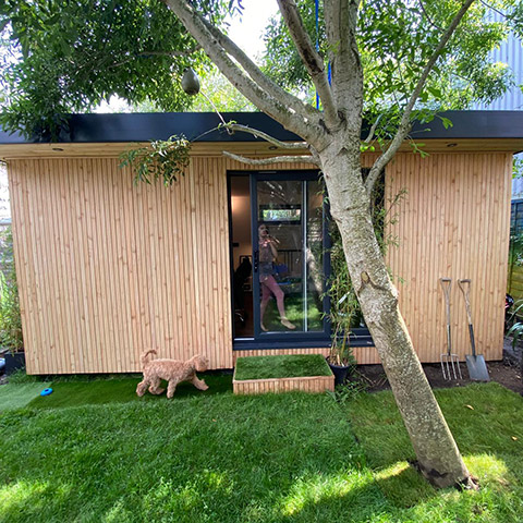 brighton garden studio extension builders
